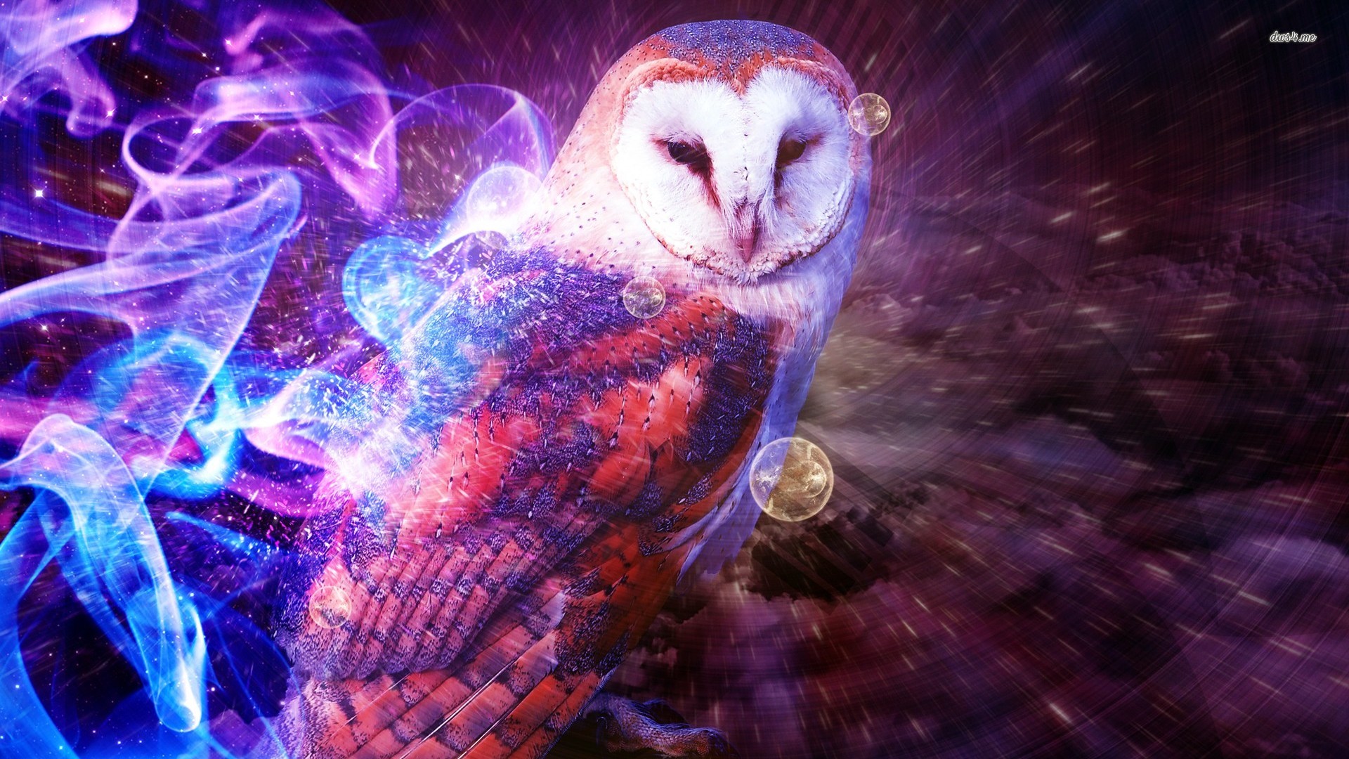 Owl Wallpaper Digital Art