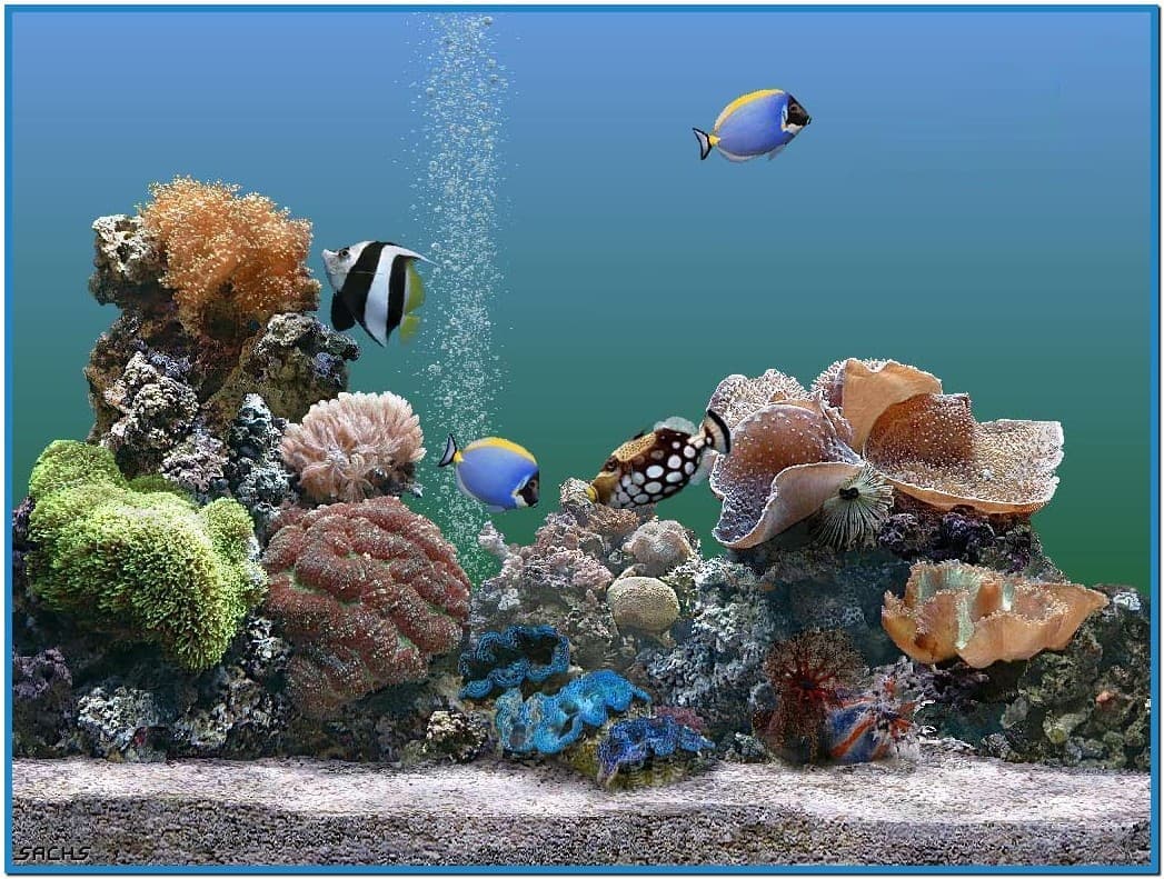 animated aquarium screensaver for windows 7