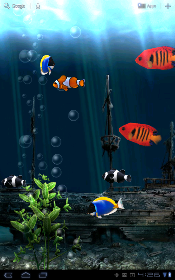 3d rendered live wallpaper background of a tropical fish tank with