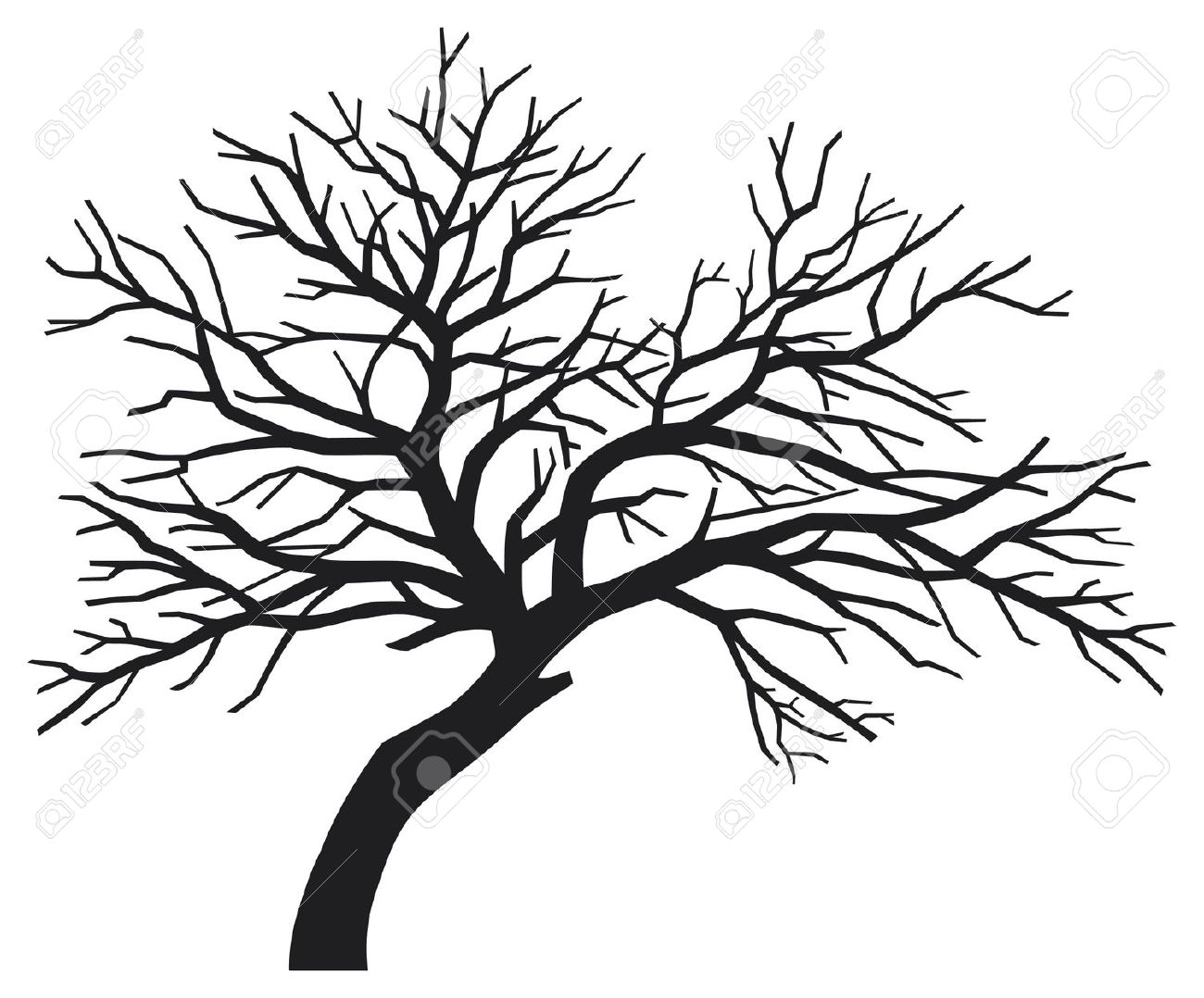 Black Tree Branch Silhouette Wallpapers