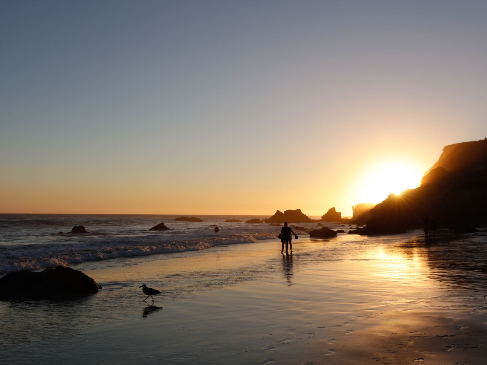 The Best Beaches In Los Angeles Discover