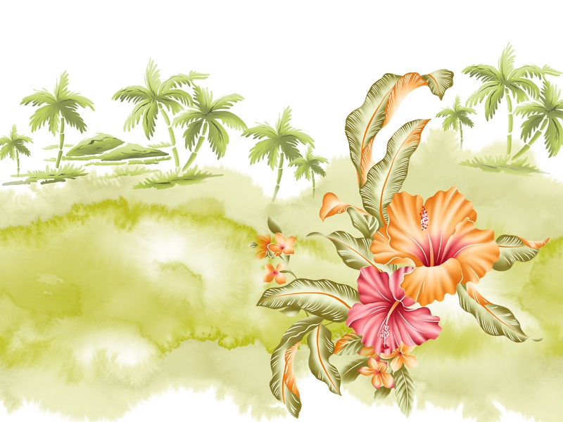 Art Hawaii Beach Flower Nature Flowers HD Desktop Wallpaper