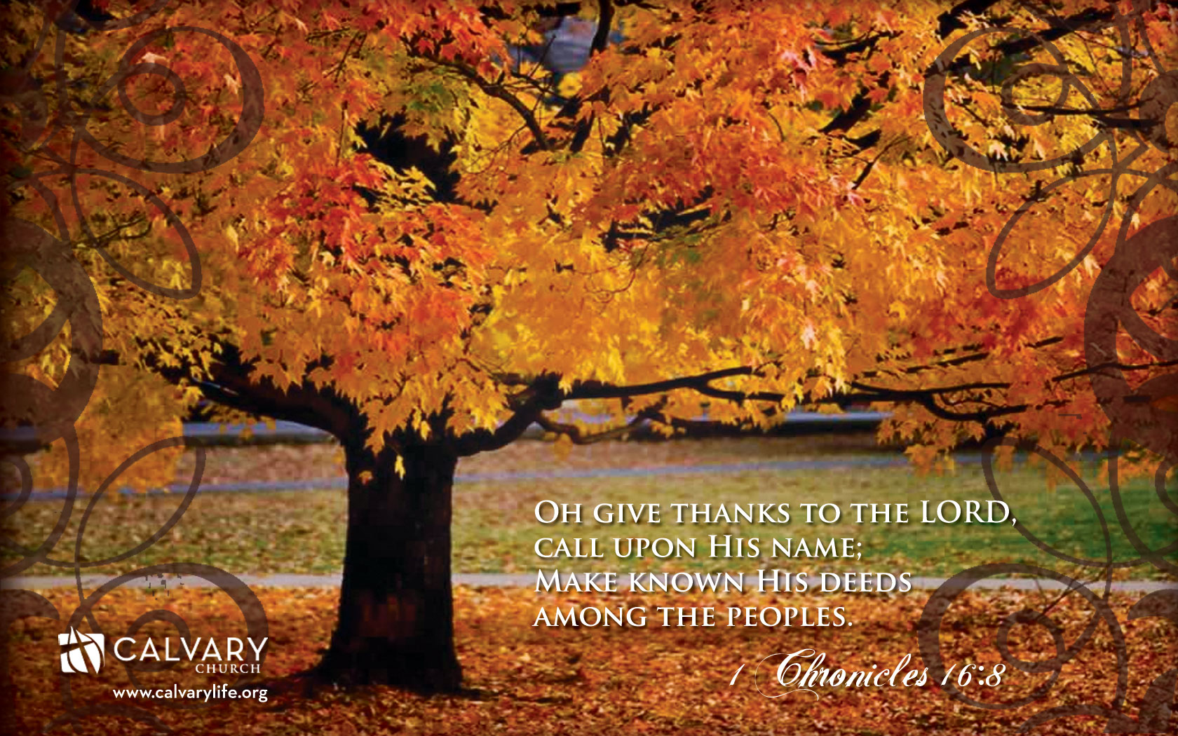 Thanksgiving Holiday Desktop Wallpaper Kb