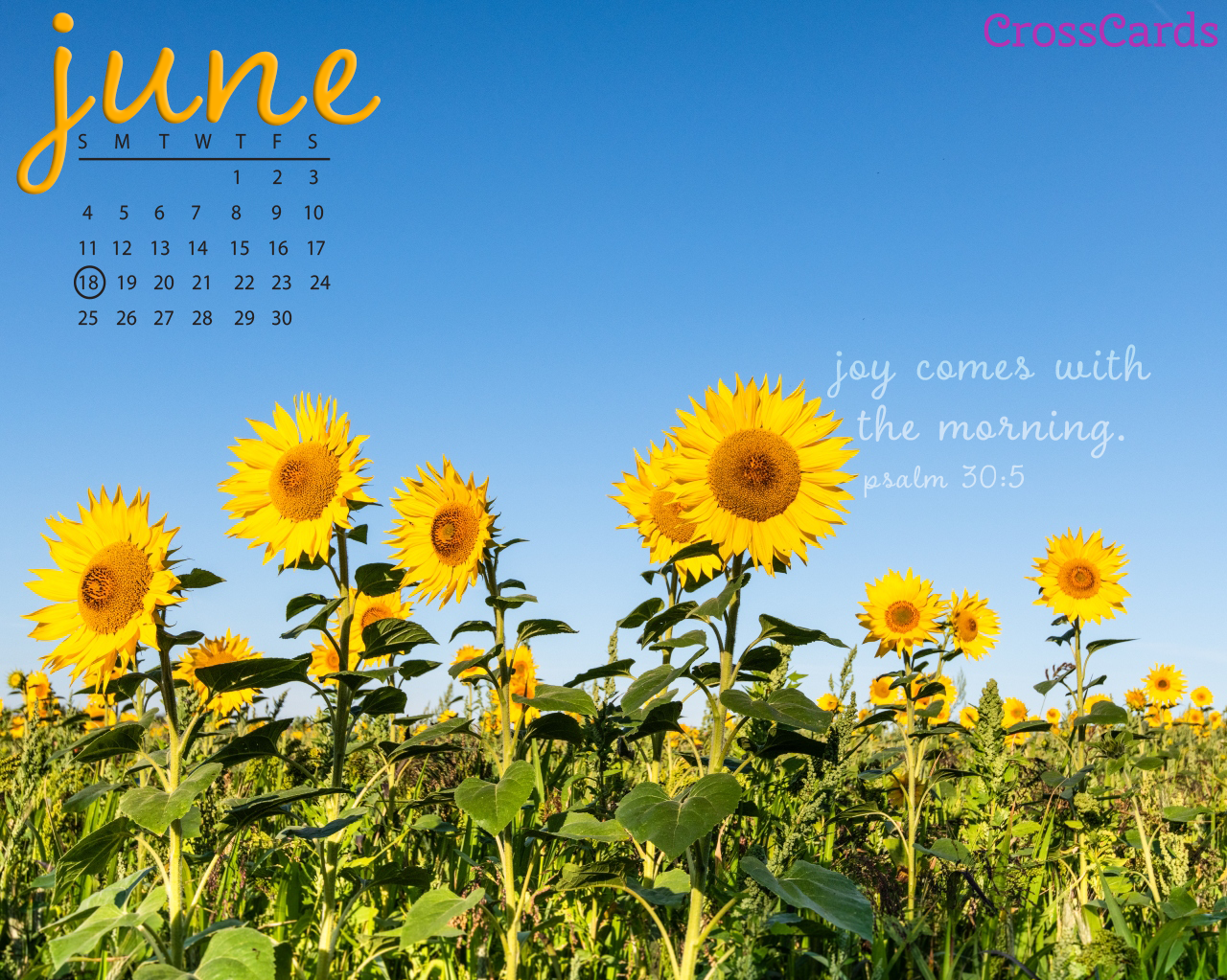 June 2023   Sunflowers Desktop Calendar  Free June Wallpaper
