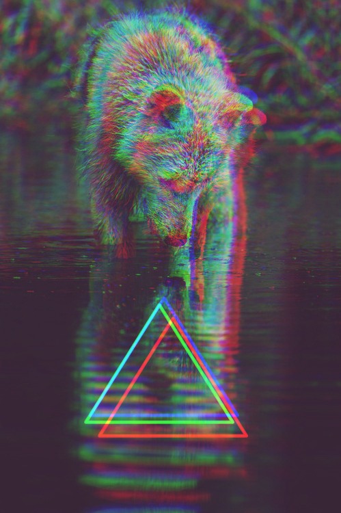 Hipster Triangle Triangulo Wolf