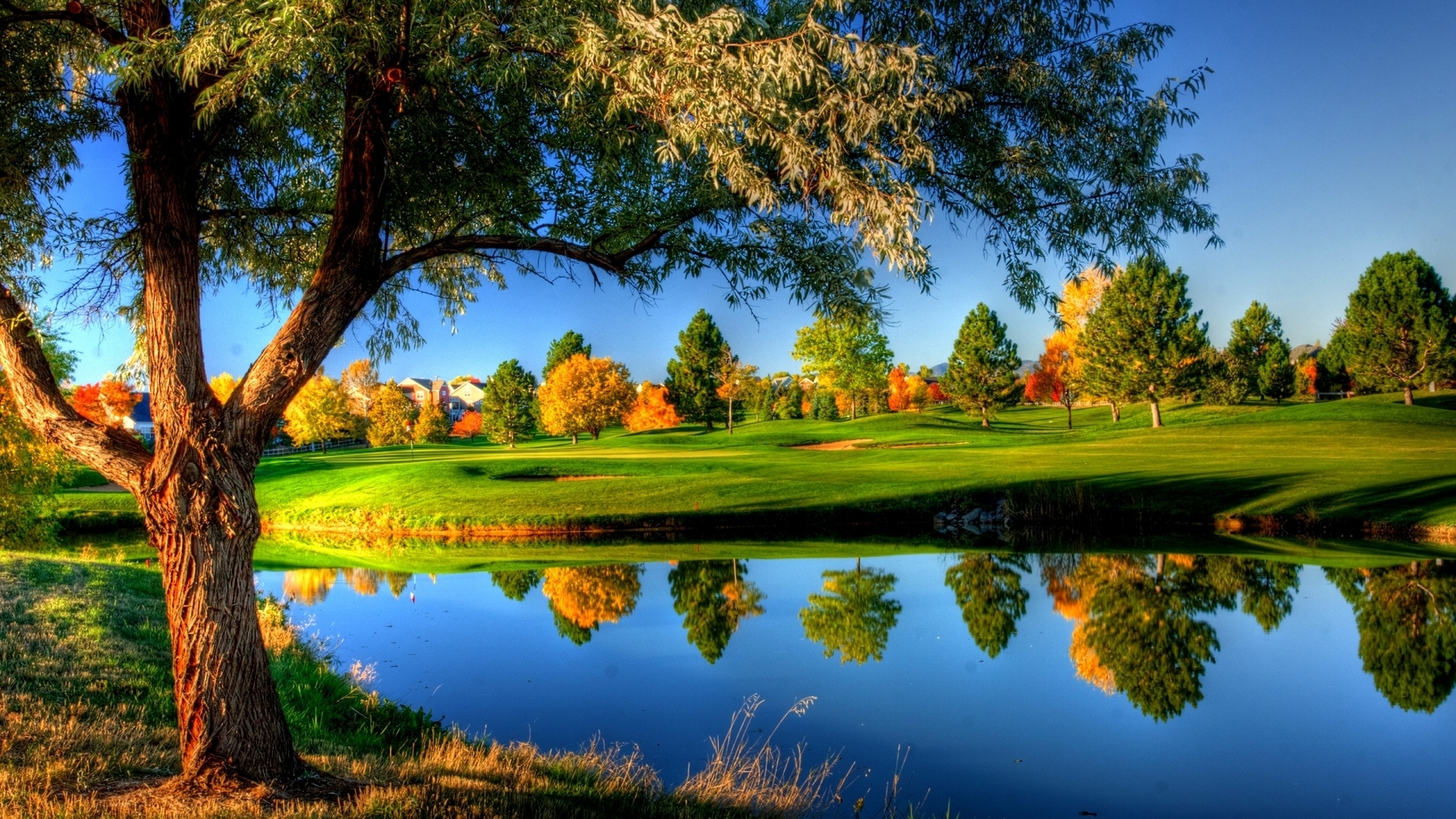 Scenic Golf Course Landscape in Autumn