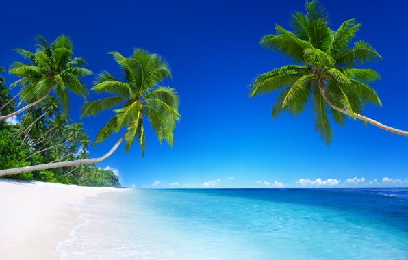 Wallpaper Tropical Paradise Beach Coast Sea Blue Emerald Ocean