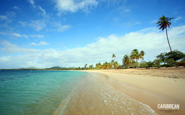 Desktop Wallpaper Background Puerto Rico Beach Sun Bay Vieques Zs