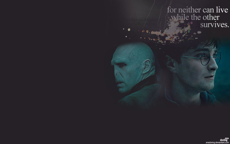 Harry And Voldemort Wallpaper By Anadoring