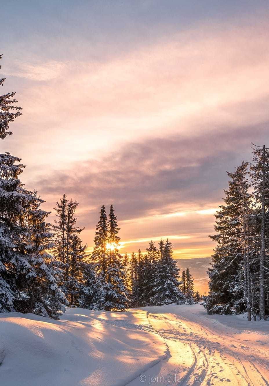 Winter iPhone Wallpaper Cute Artofit