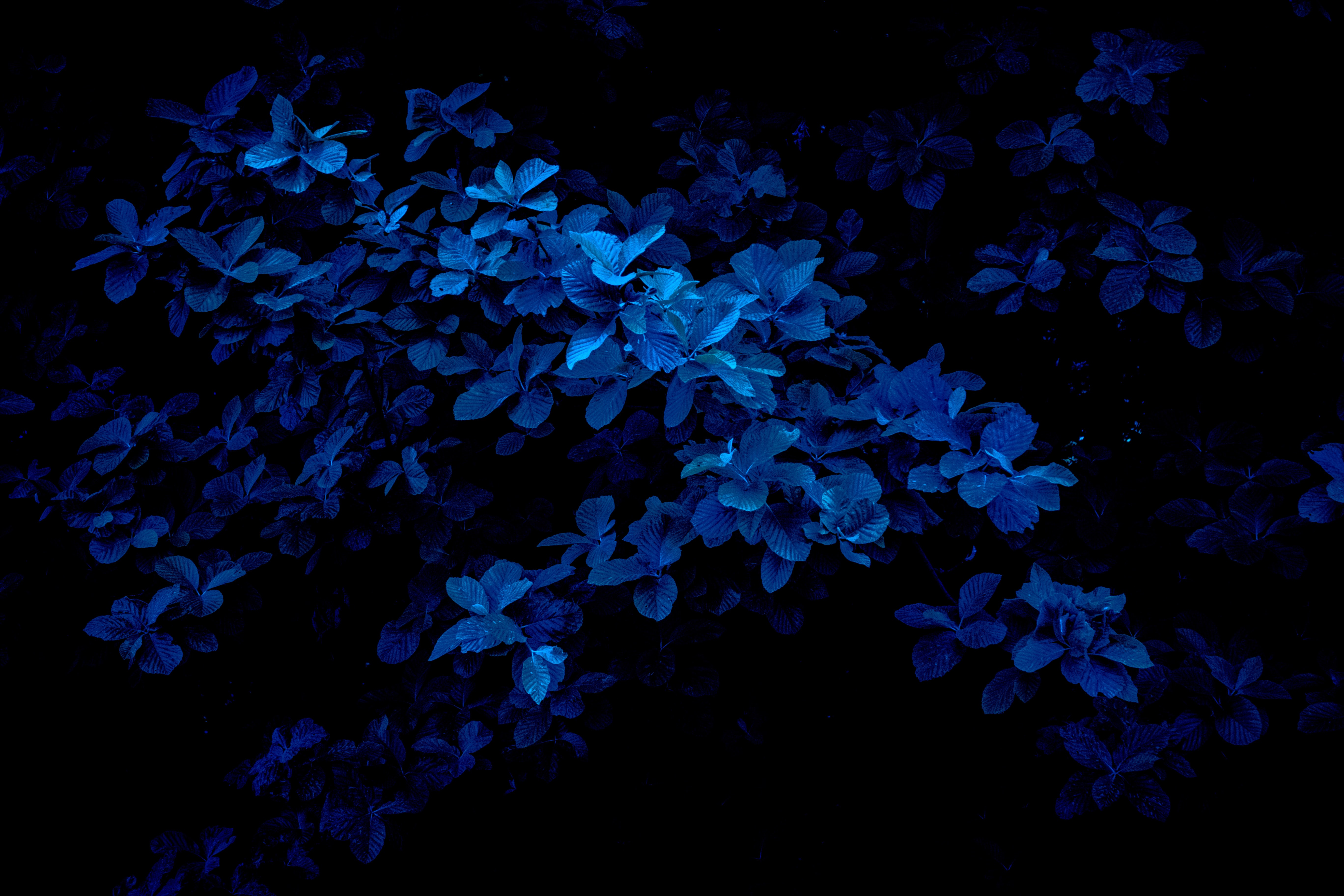 These Blue Wallpaper For iPhone iPad And Mac