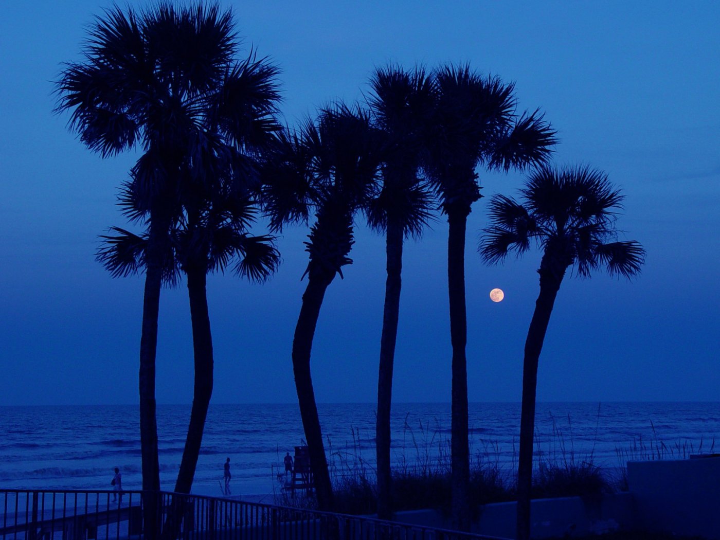 Daytona Beach Florida Night Wallpaper