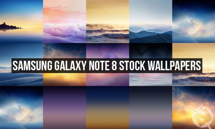 Official Samsung Galaxy Note Stock Wallpaper