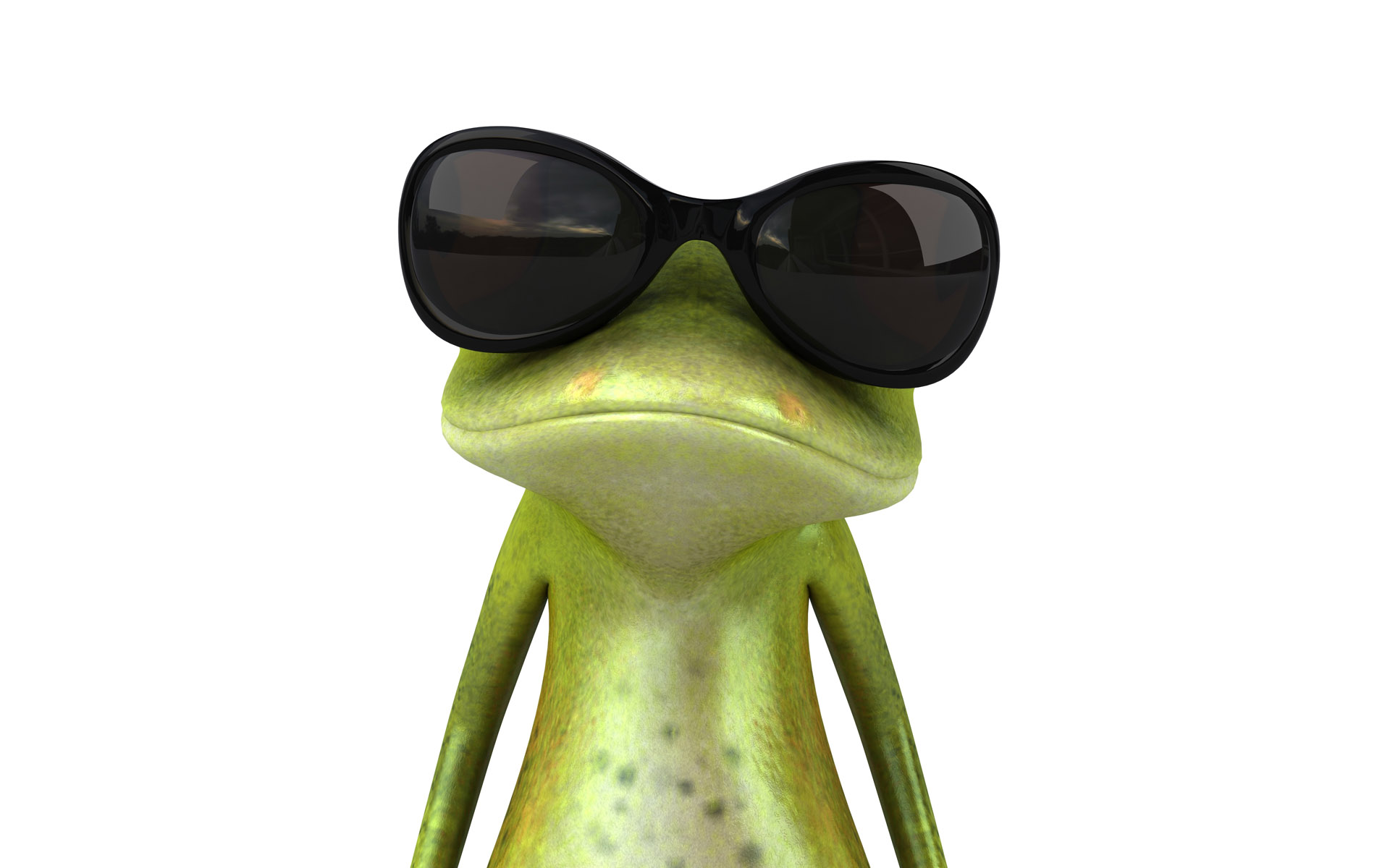 Frog 3d Wallpaper For Desktop Is A Great Your Puter