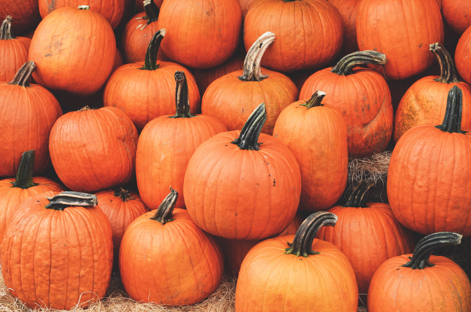 October Wallpaper Desktop