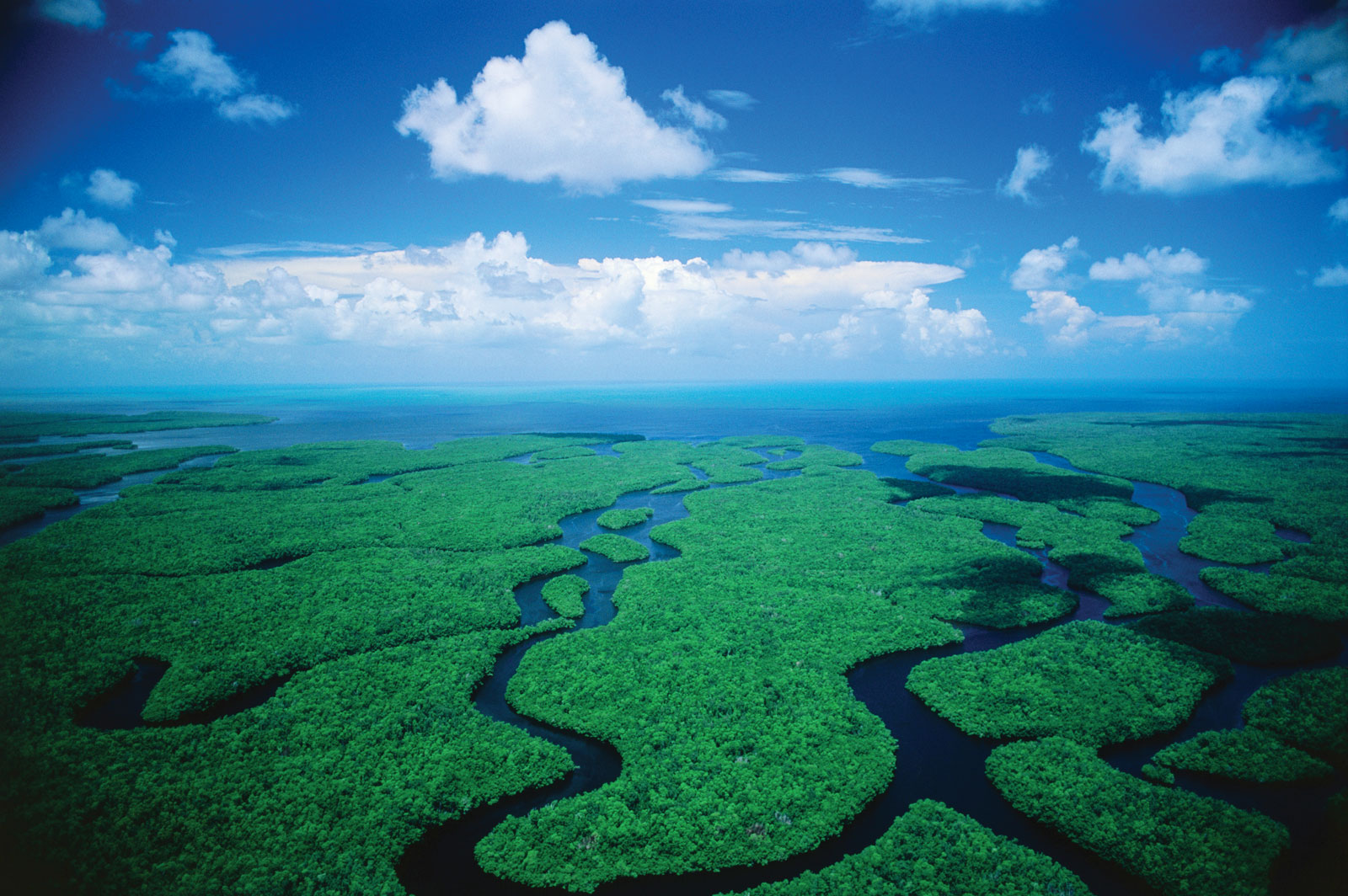 Desktop Wallpaper Everglades National Park H427284 Earth HD Image