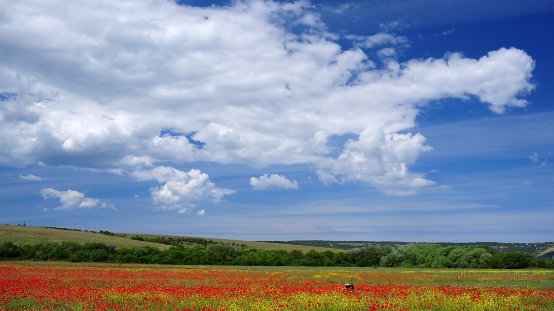 Background Desktop Wallpaper