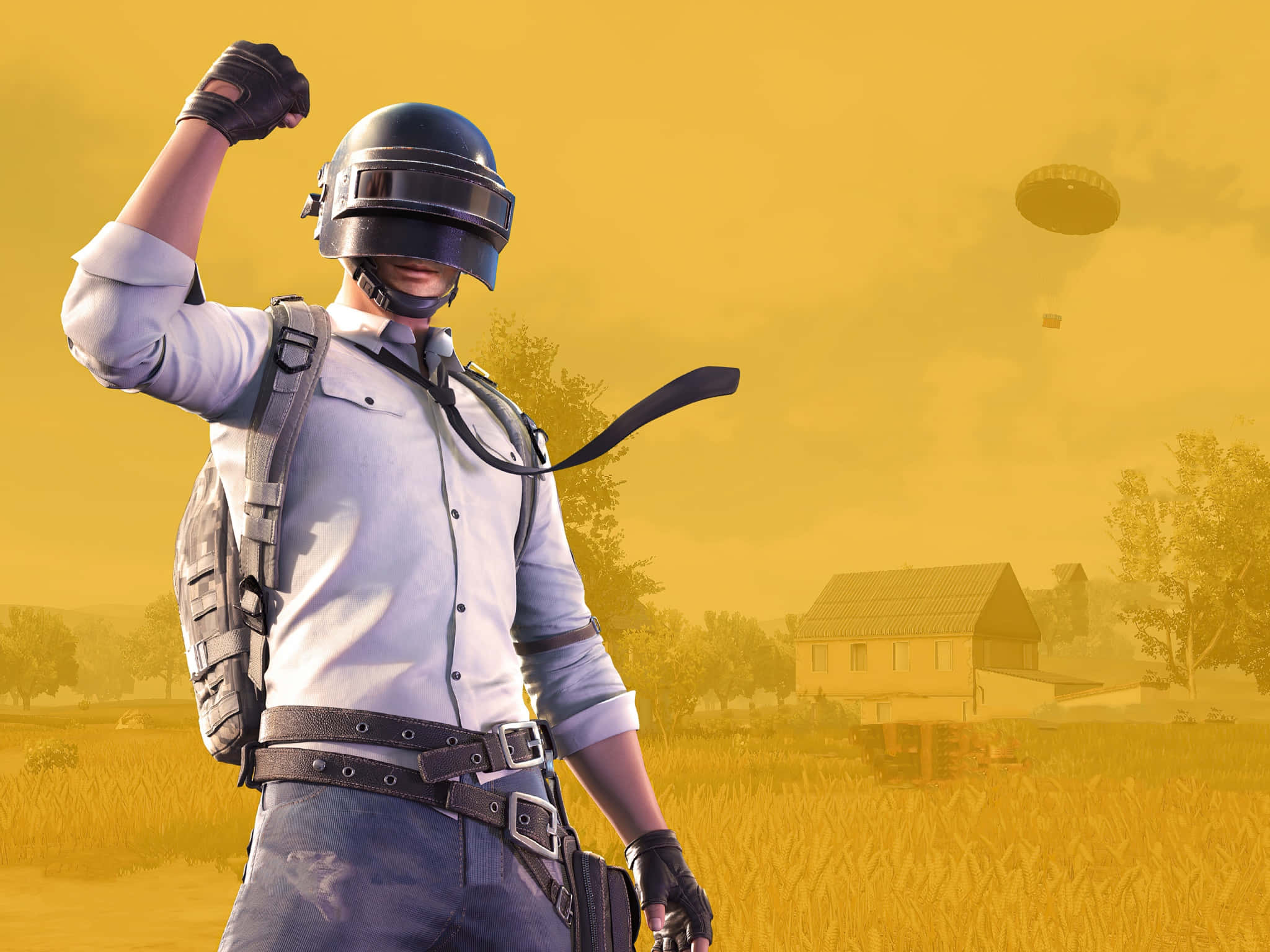 Official Logo Of Playerunknown S Battlegrounds Wallpaper