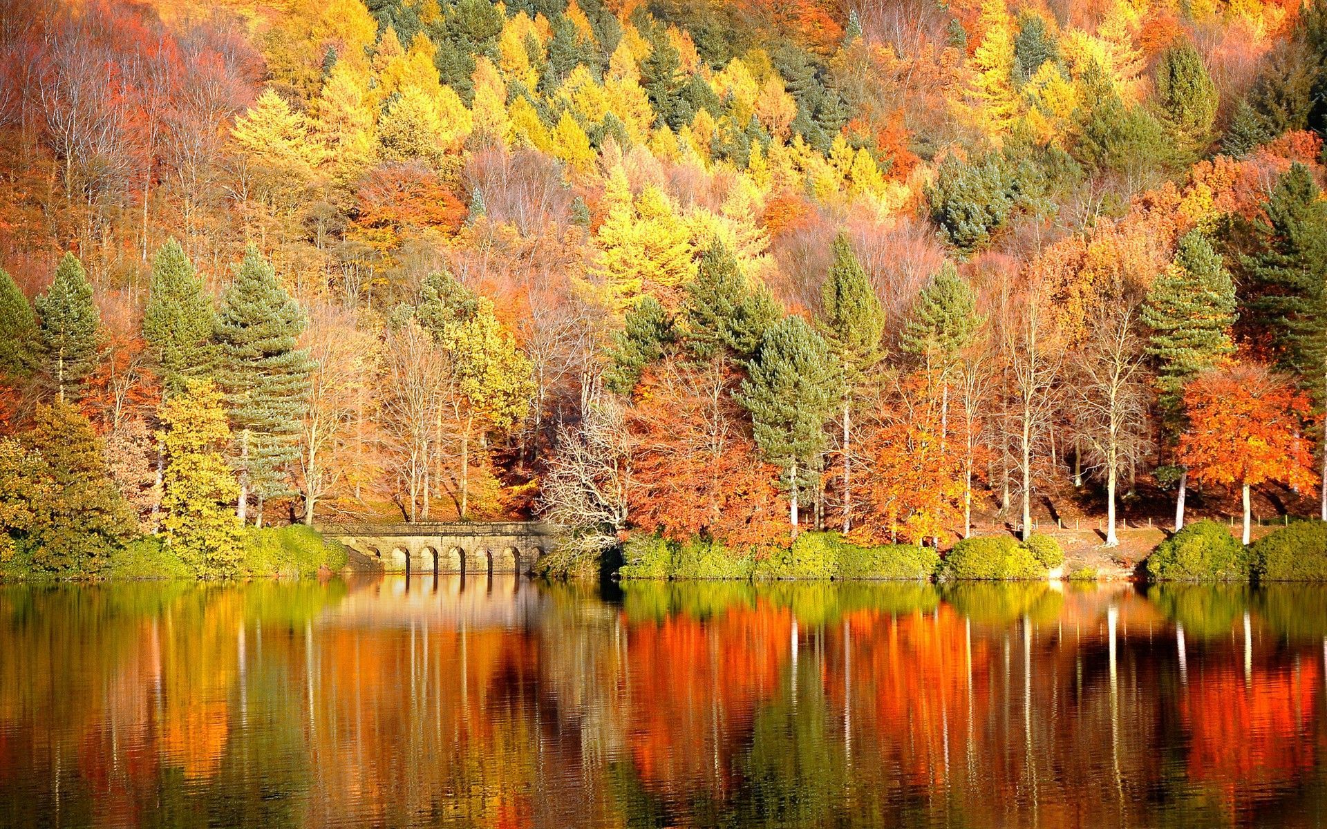 Beautiful Autumn Desktop Wallpaper
