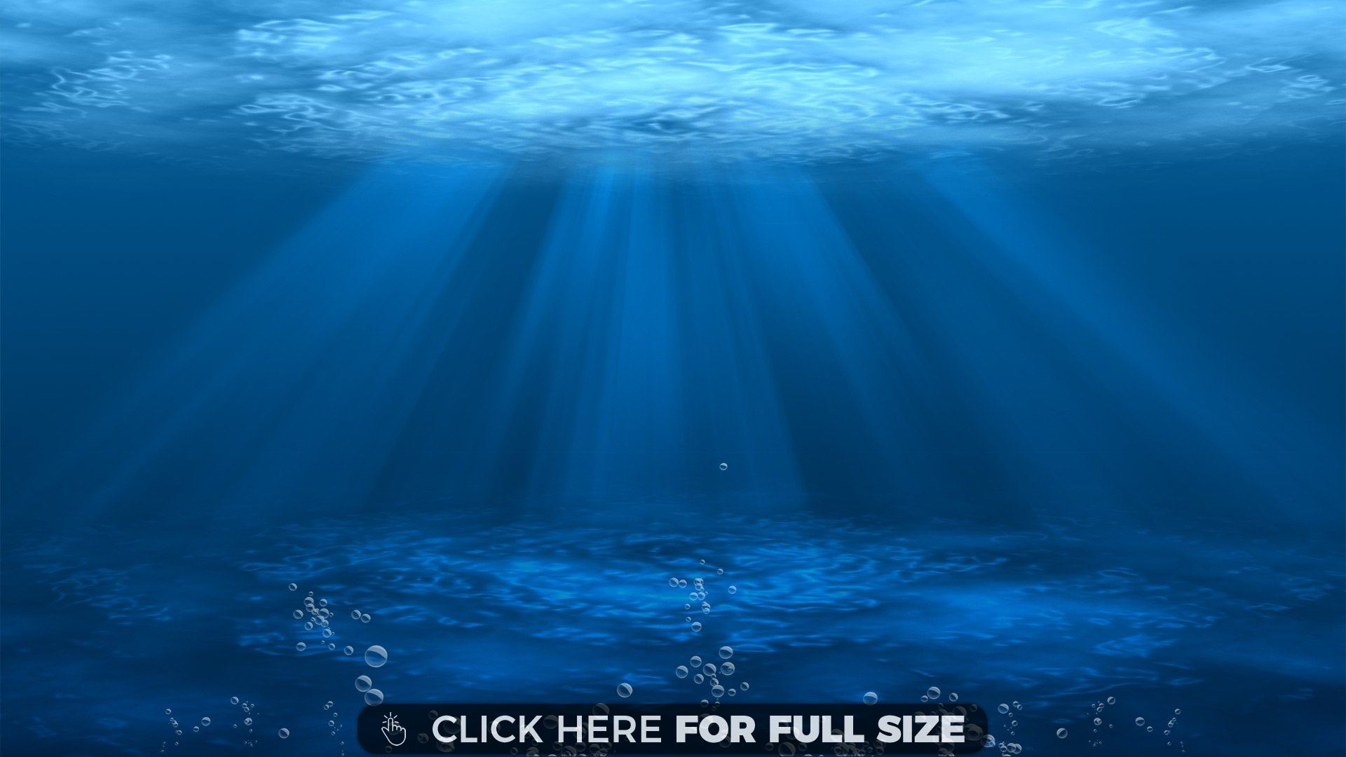 Underwater Wallpaper Photos And Desktop Background Up