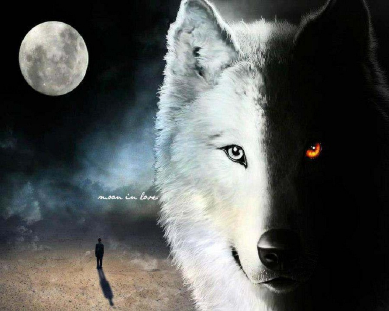 Fantasy Image Wolf HD Wallpaper And Background Photos