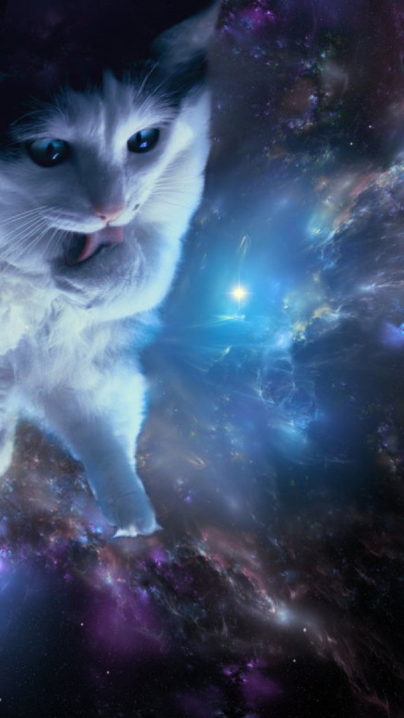 49 Space Cat Iphone Wallpaper On Wallpapersafari