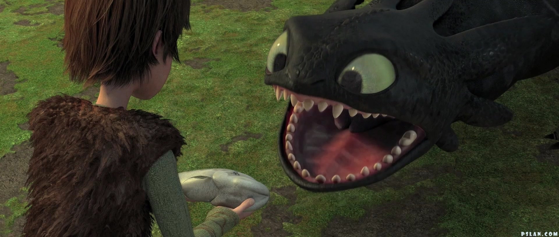 Train Your Dragon Image Hiccup Toothless Wallpaper Photos