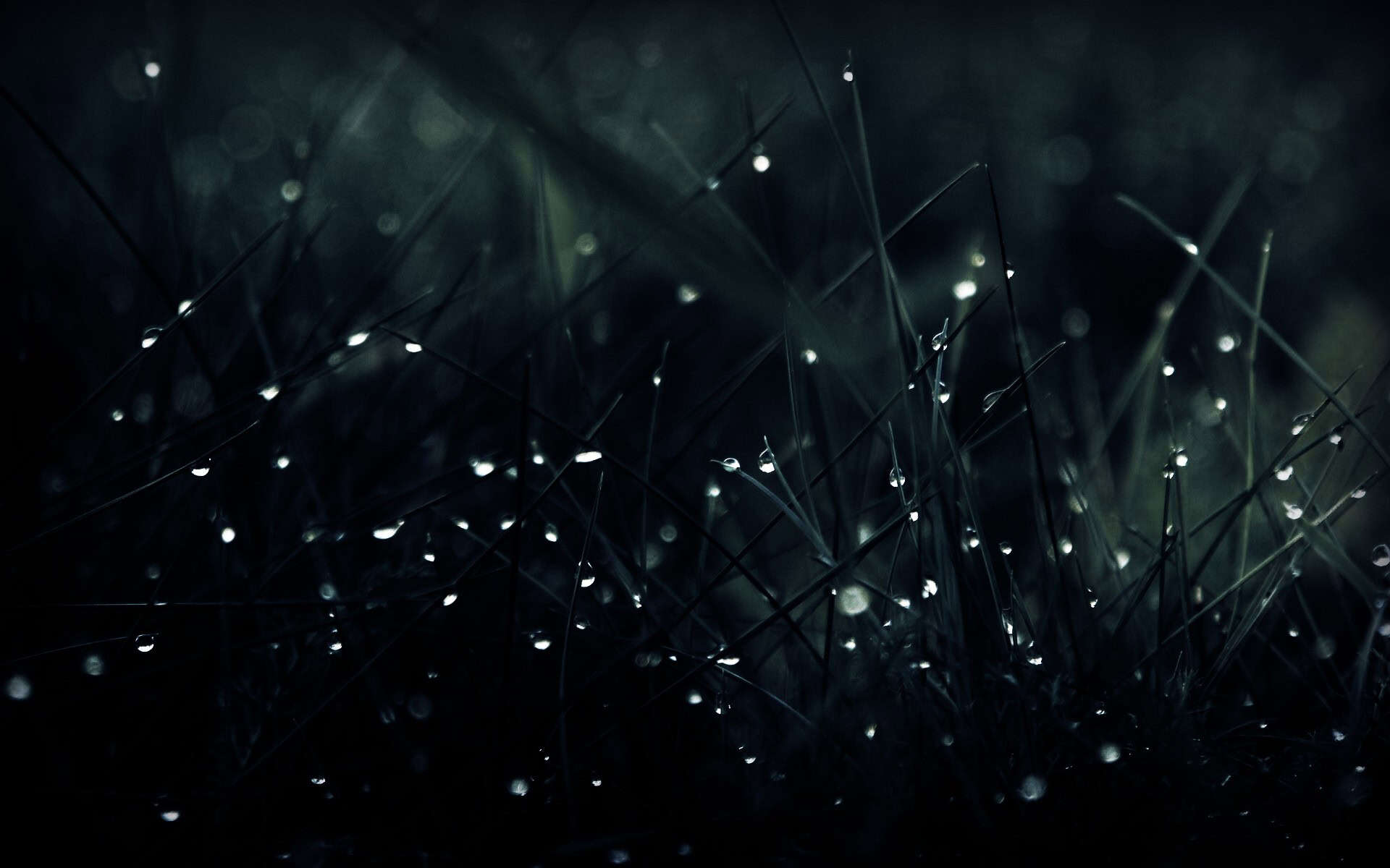 Best HD Wallpaper For Desktop