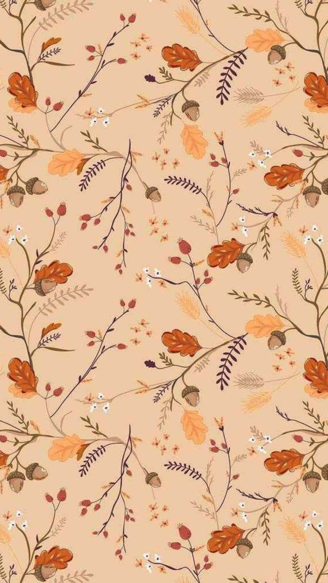 Cute Boho Wallpaper