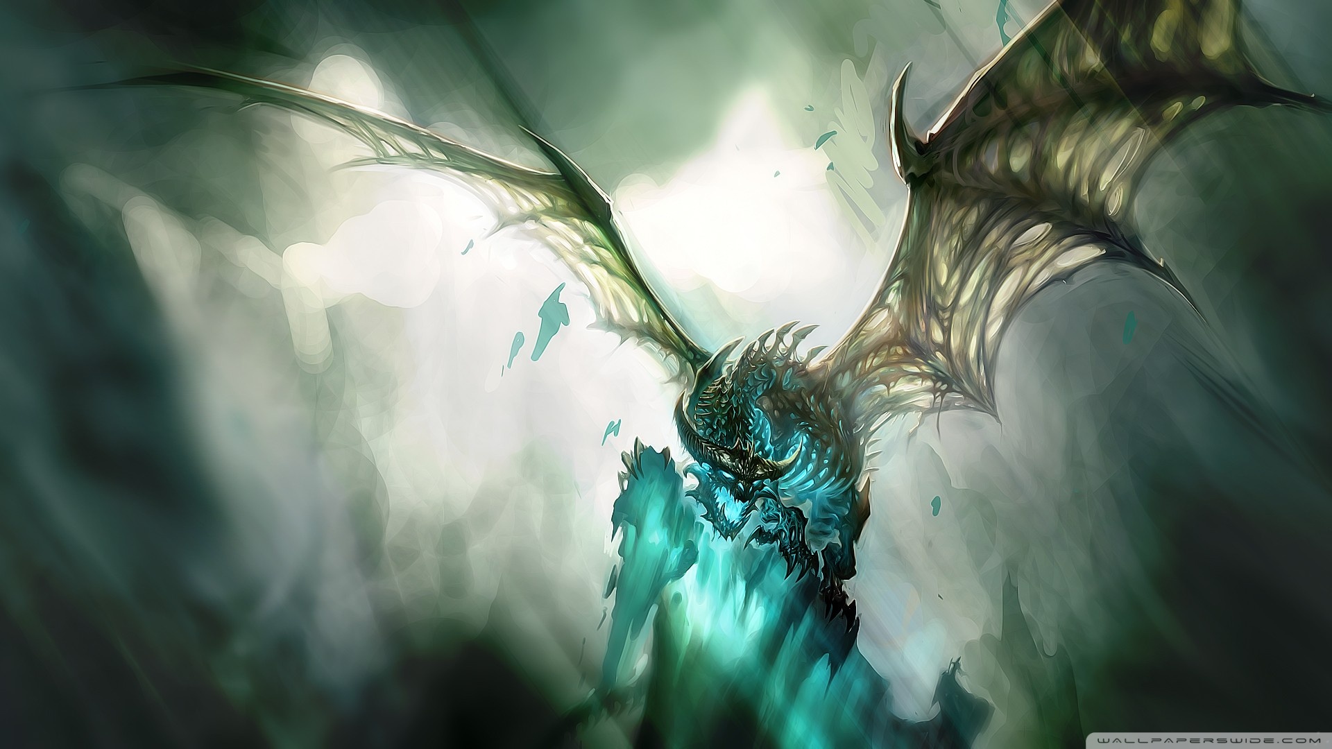 World Of Warcraft Dragon Wallpaper