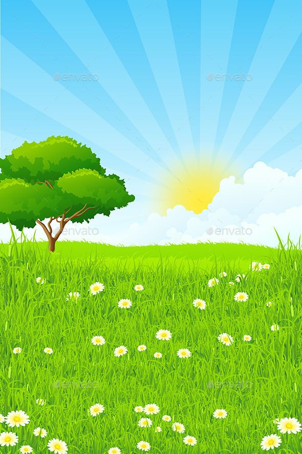 Green Landscape With Tree Imagens Grama Desenho Fundo C U