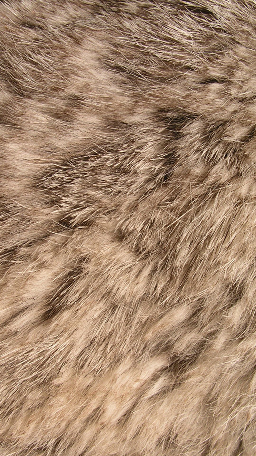 Animal Fur Wallpaper On