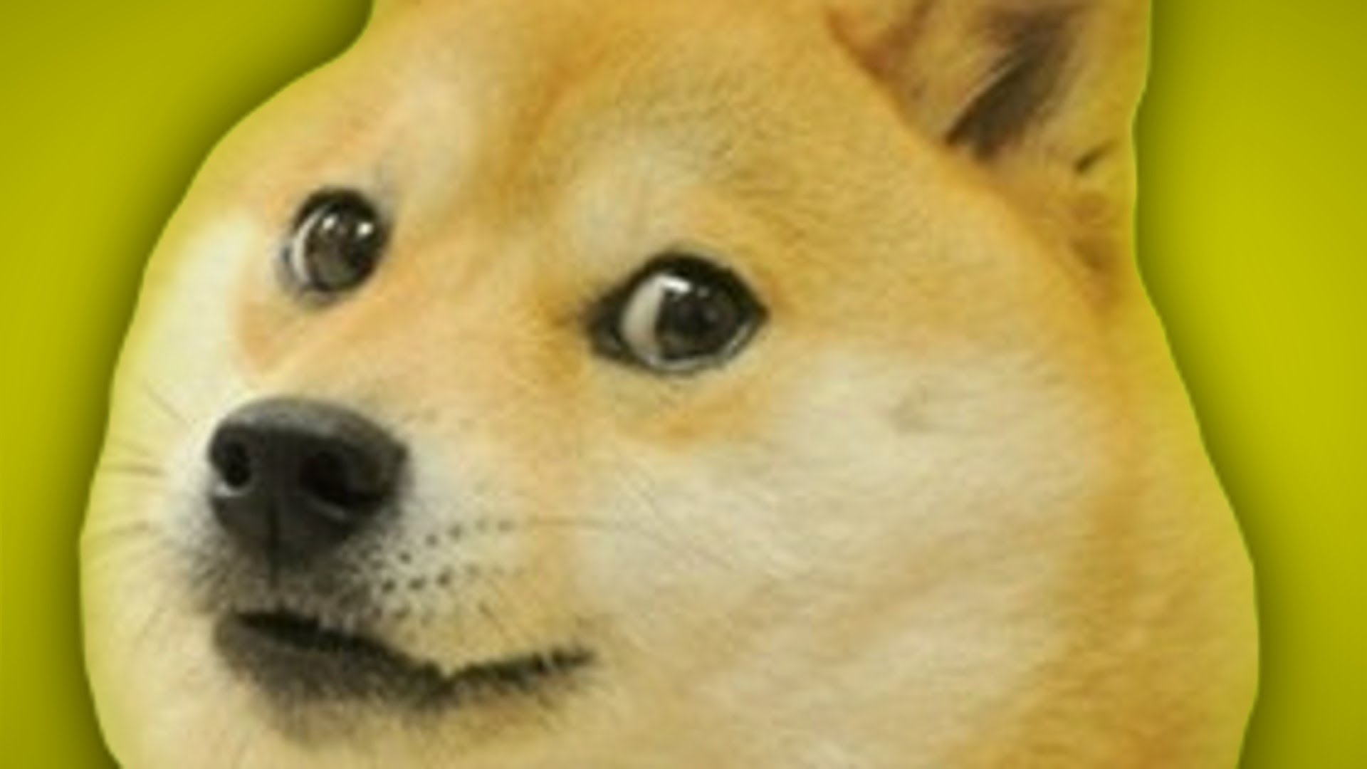 Doge Meme Iphone Wallpaper Doge wallpaper 1920x1080