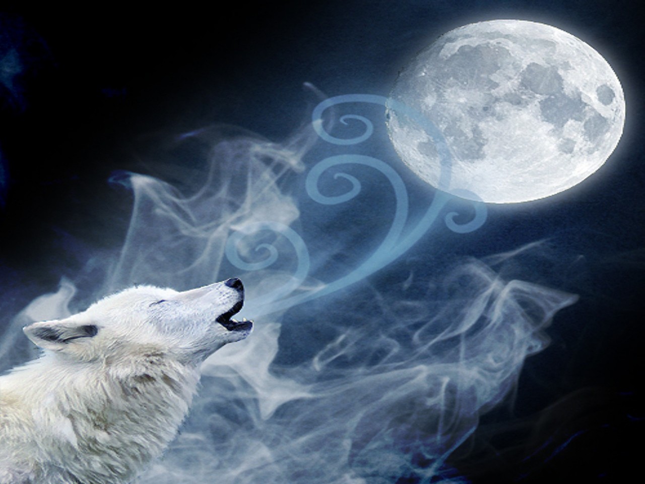 Волк и луна картинки