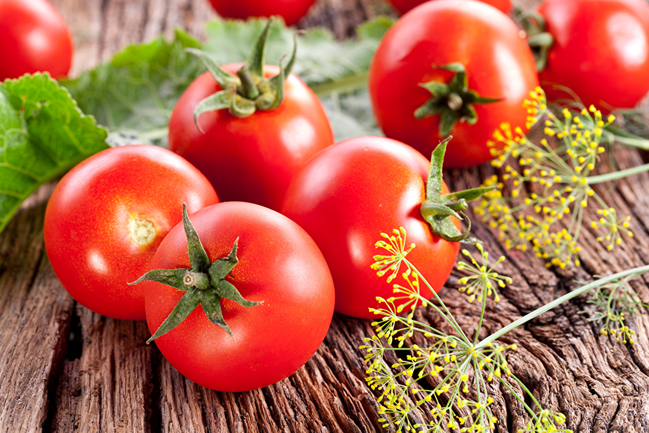 Wallpaper Tomatoes Dill Food Vegetables