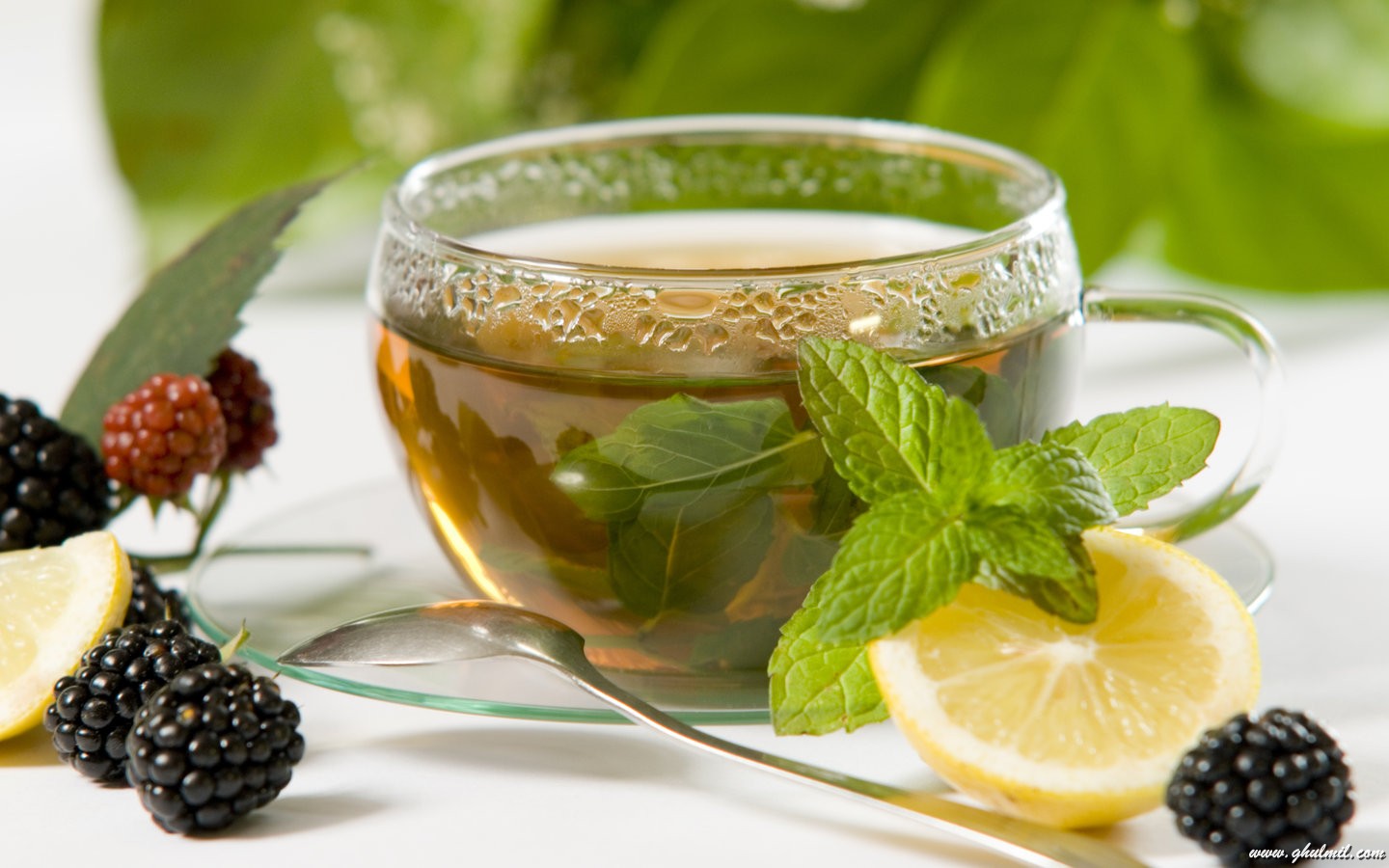 Daily Wisdom The Various Types Of Tea And Their Health Benefits