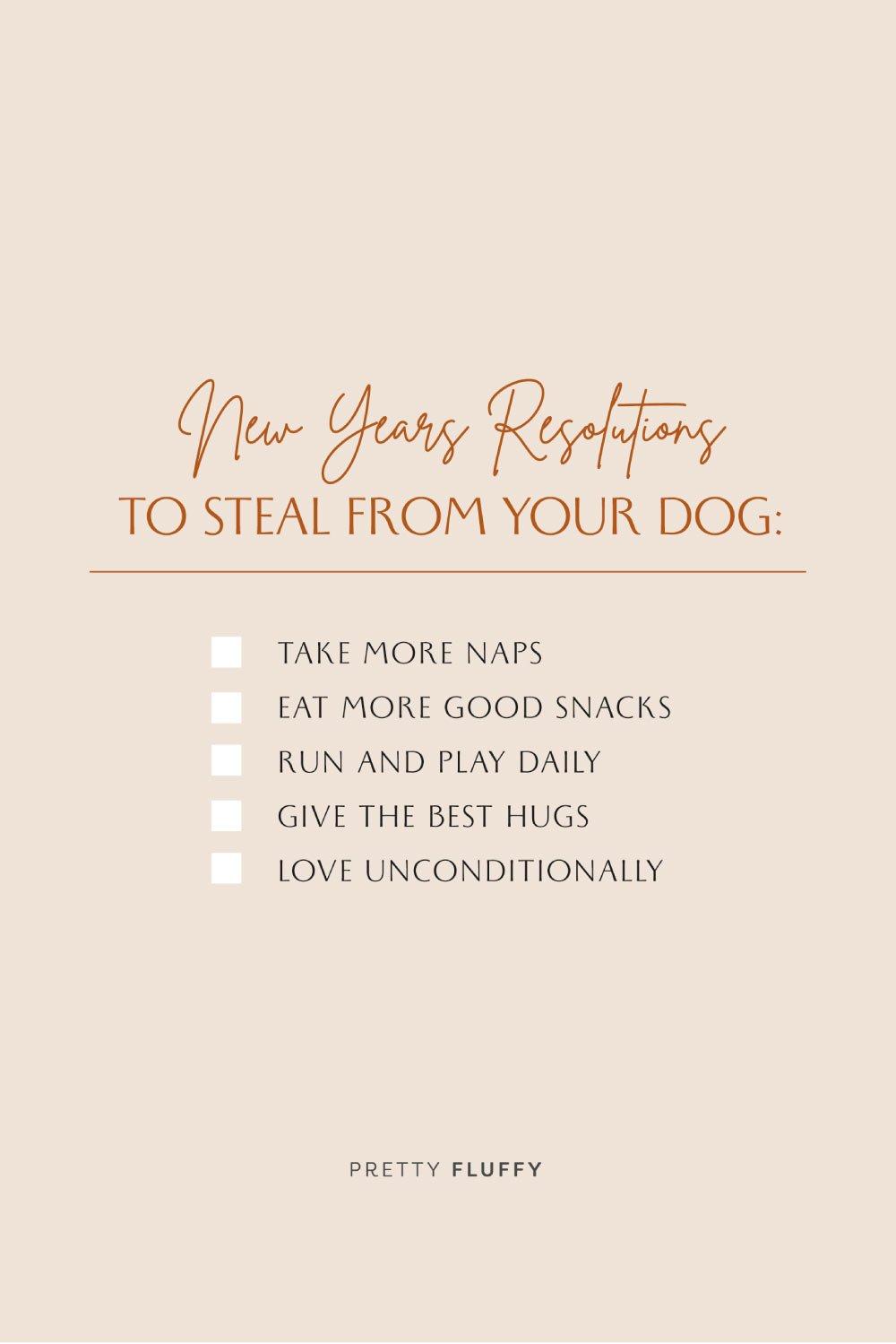 New Years Resolutions To Steal From Your Dog Year