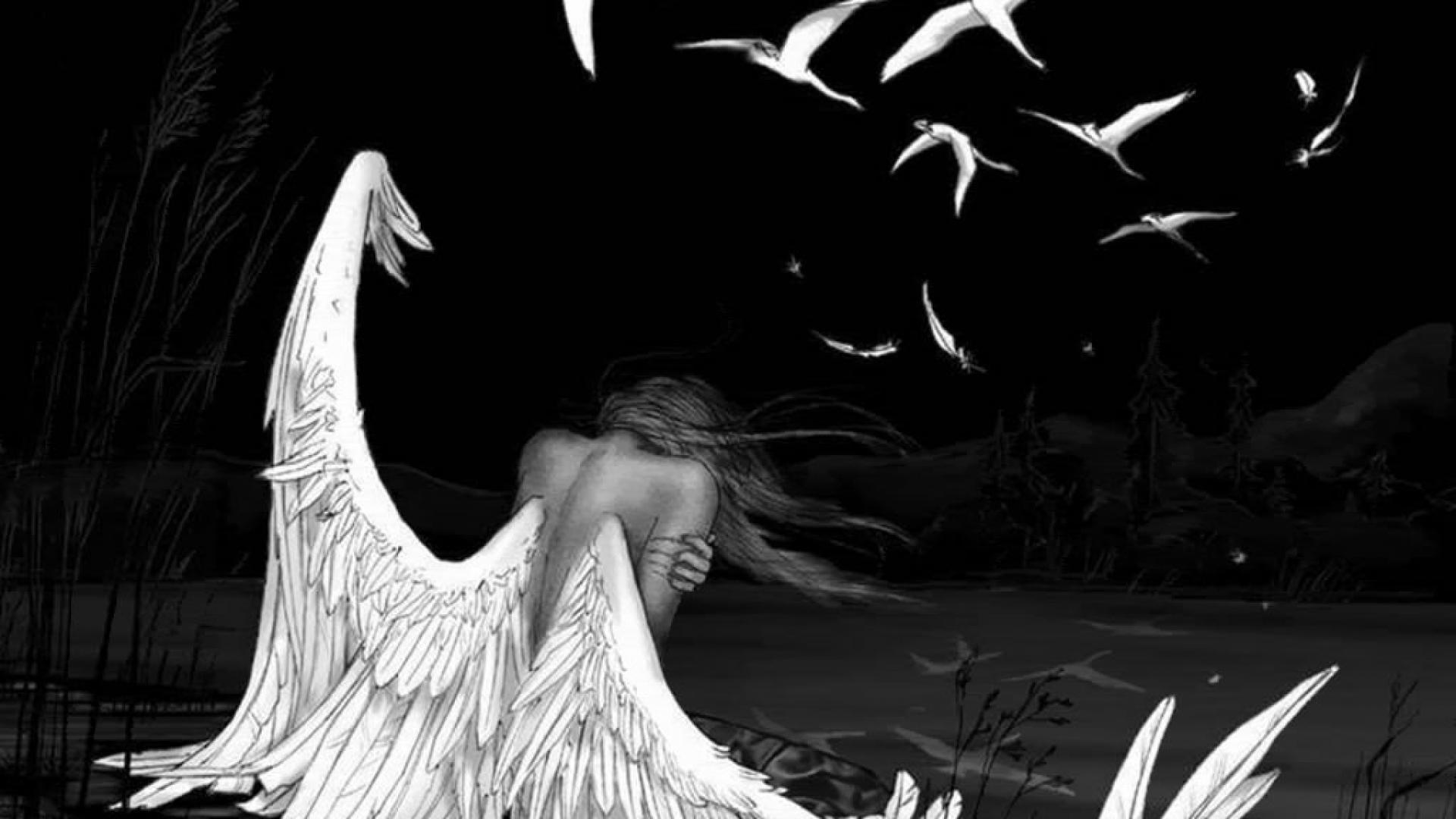 Fairy Angel Resolution Wallpaper HD