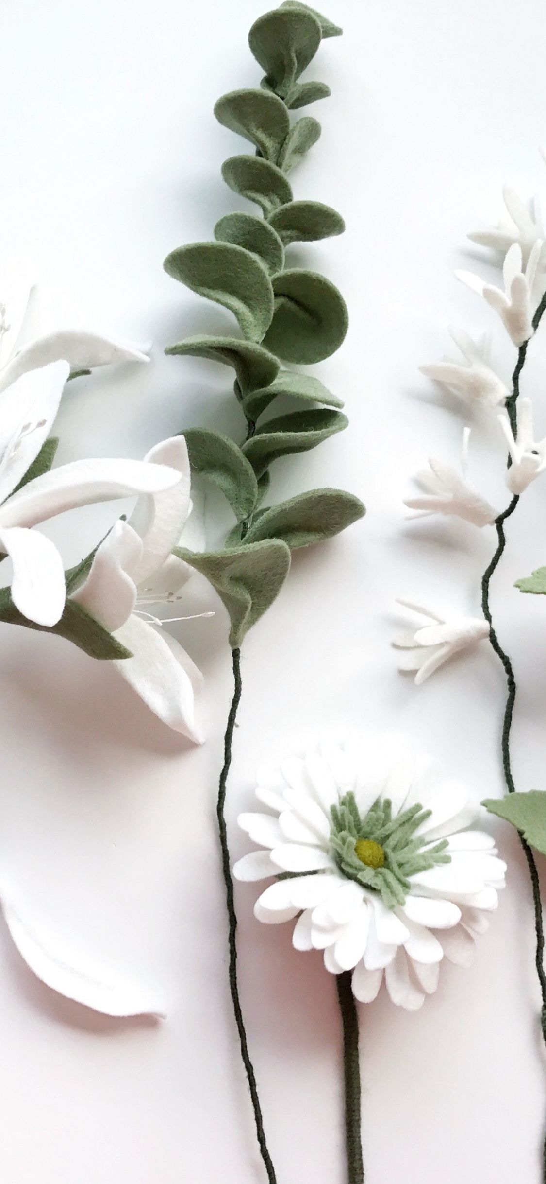 White Flower iPhone Wallpaper On