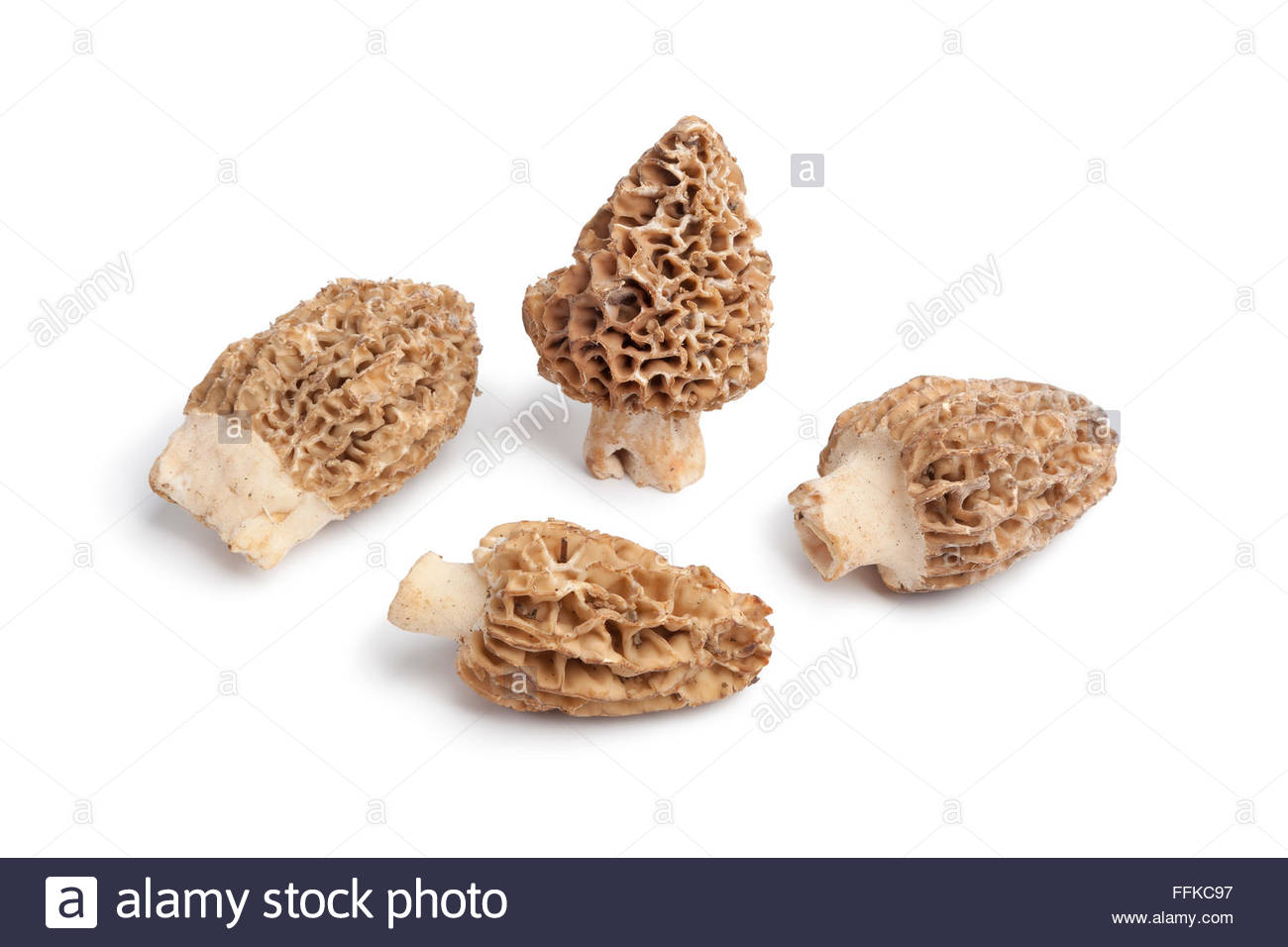 Fresh Raw Morels Mushrooms On White Background Stock Photo