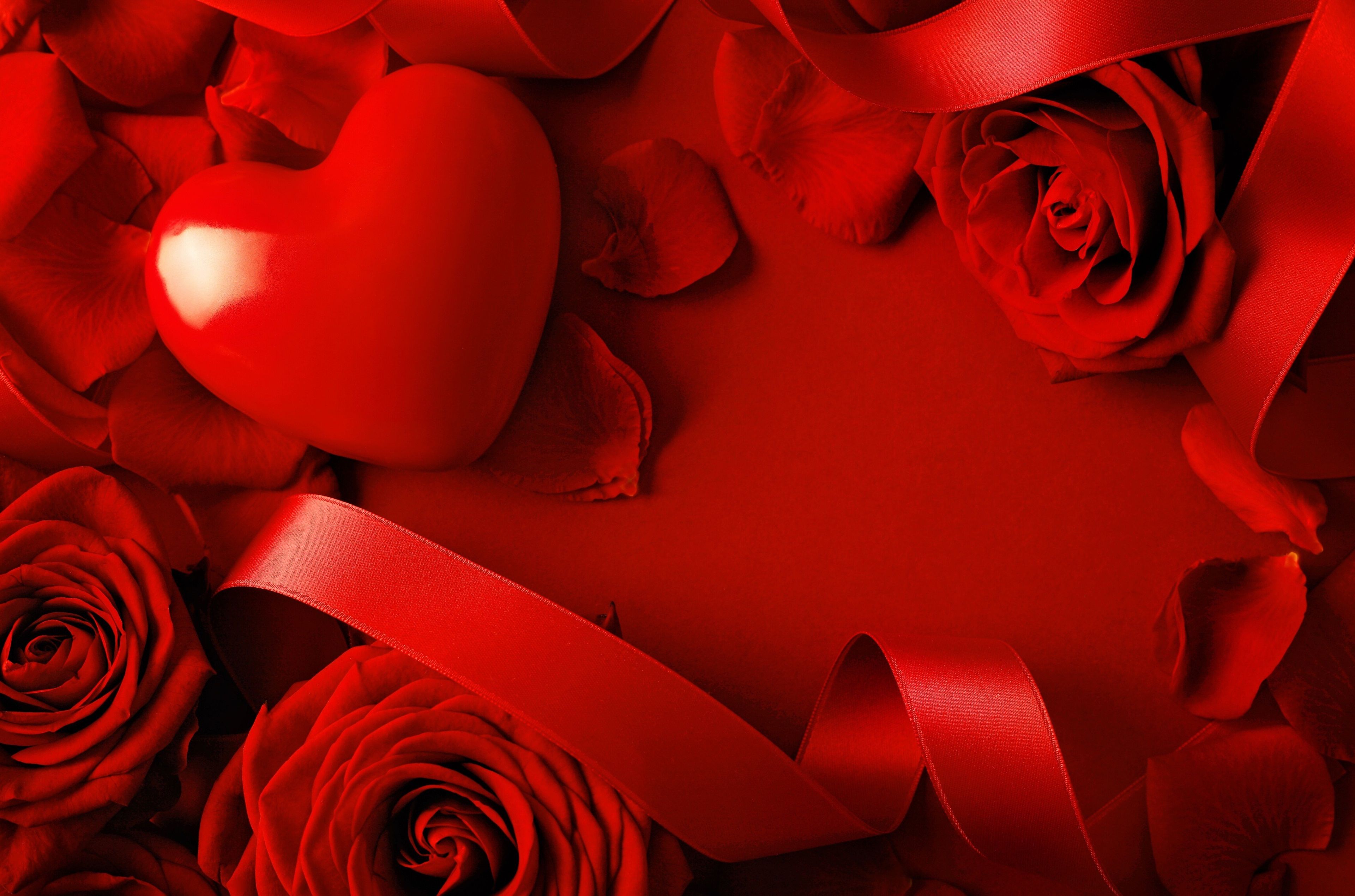 Classic Valentine's Day still life with red roses, rose petals, red satin ribbon, and a heart-shaped decoration on a rich red background