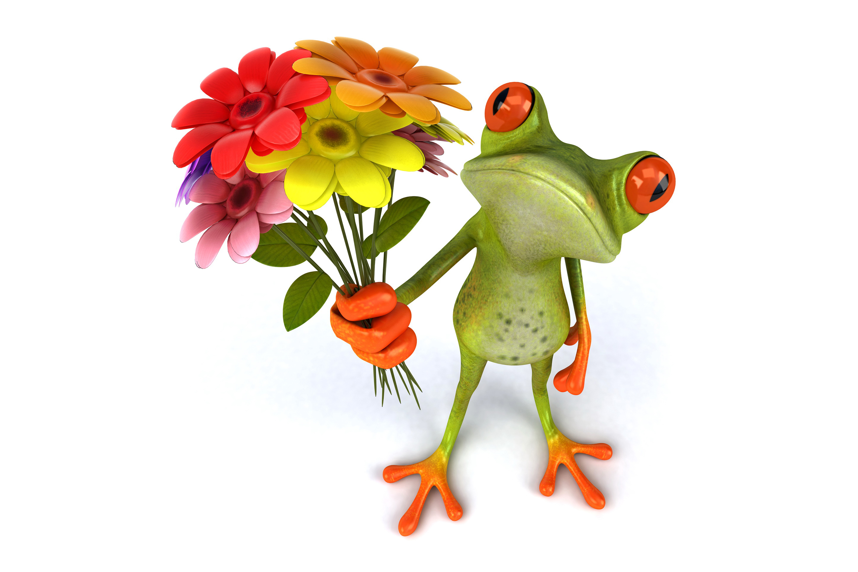 Wallpaper frog 3d funny flowers frog wallpapers
