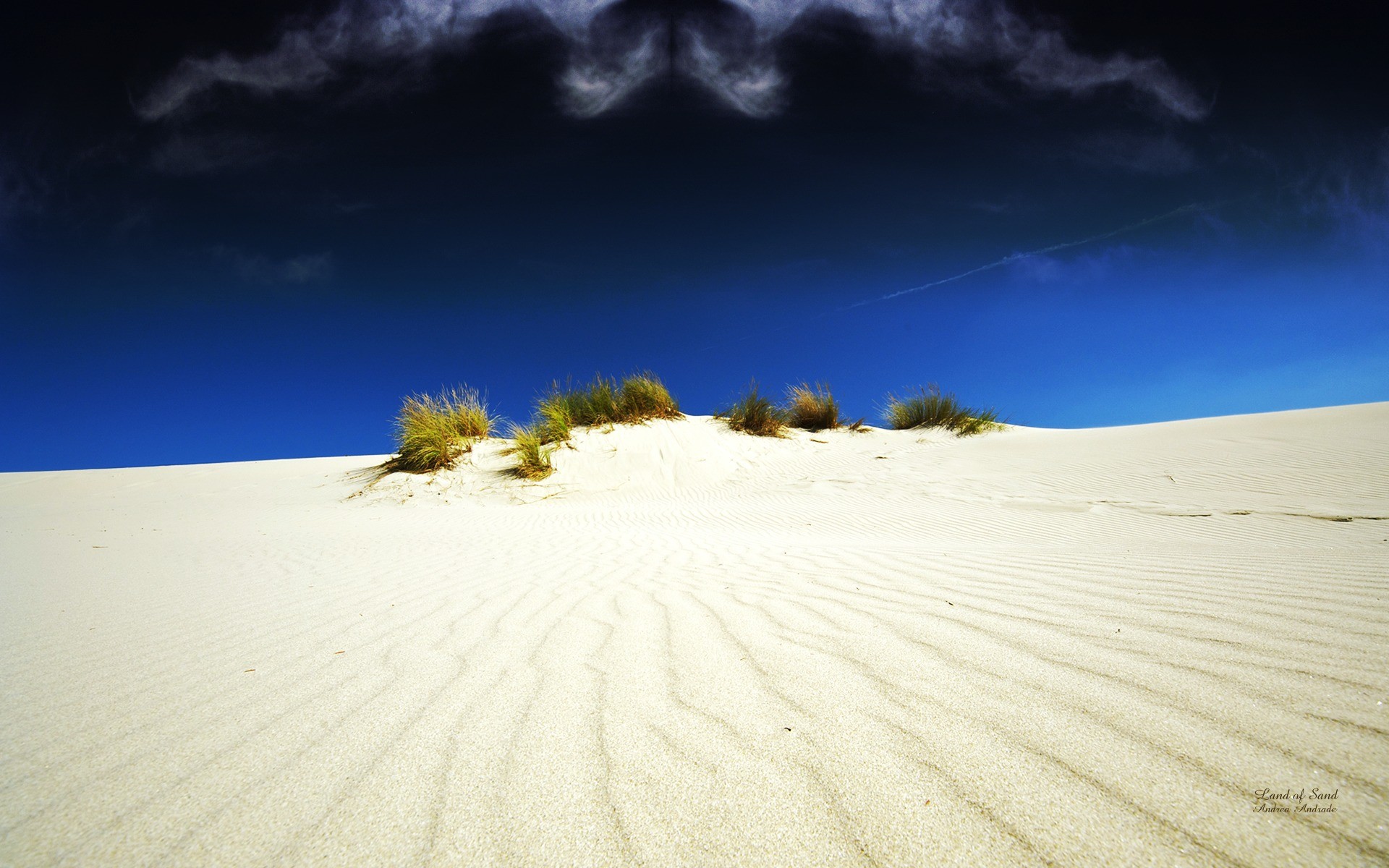  the white desert wallpapers and images   wallpapers pictures photos