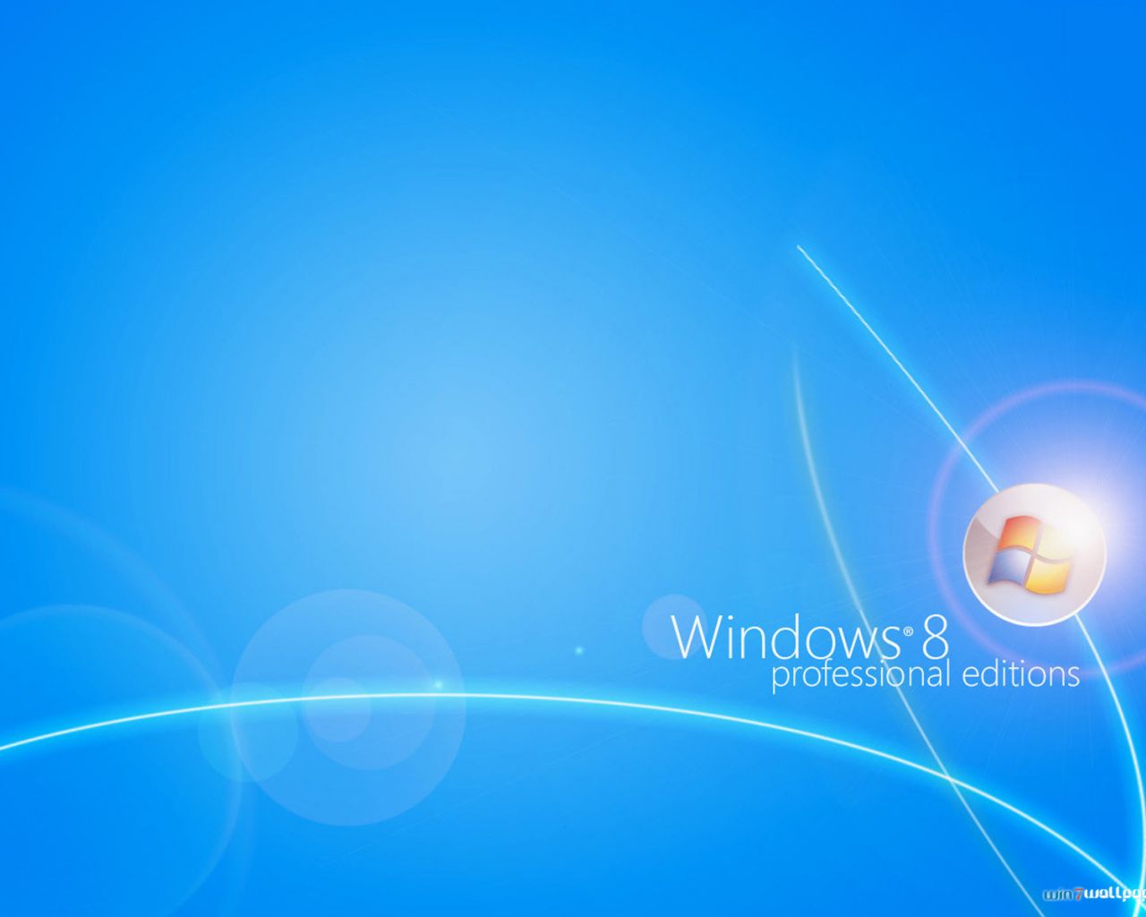 Windows Professional Edition Wallpaper In