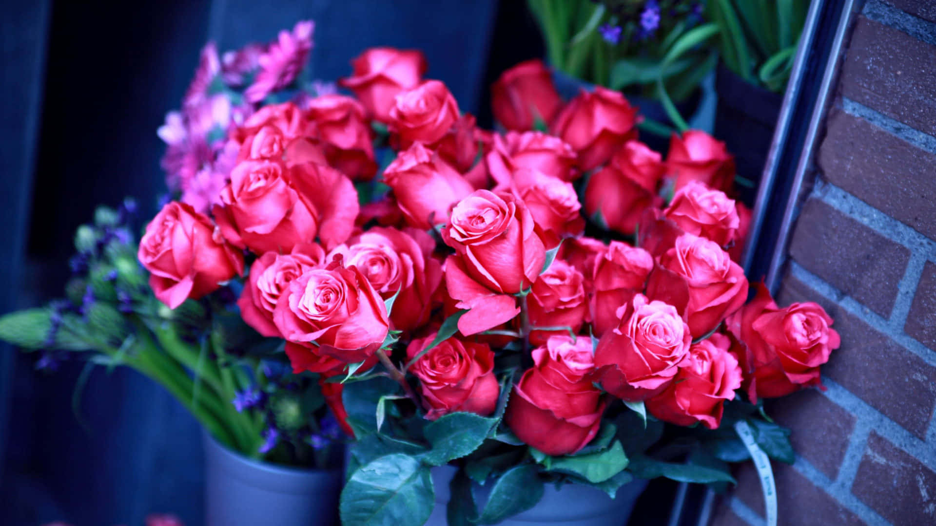 Two Rose Bouquet Picture Wallpaper