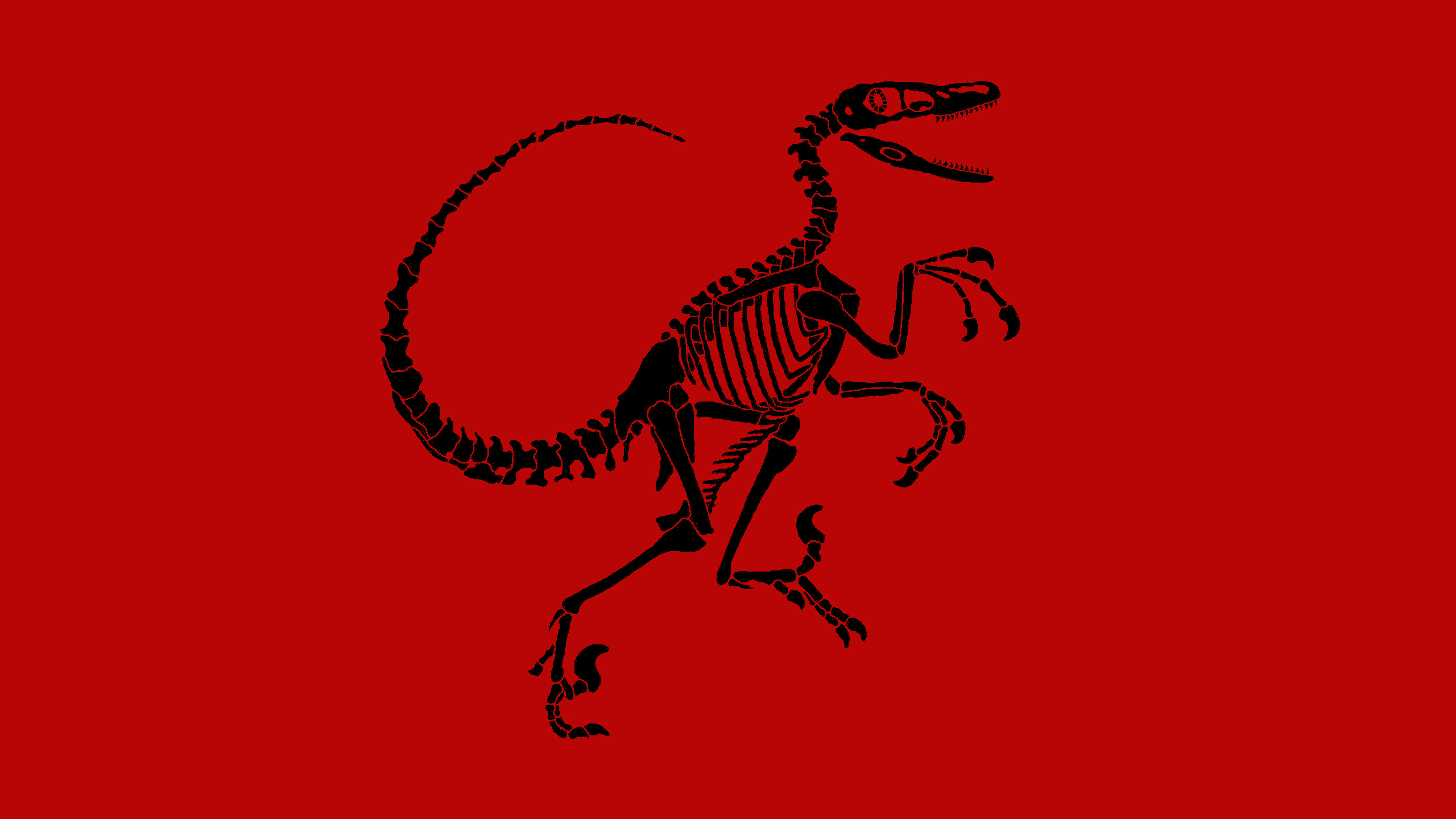 Velociraptor HD Wallpaper And Background