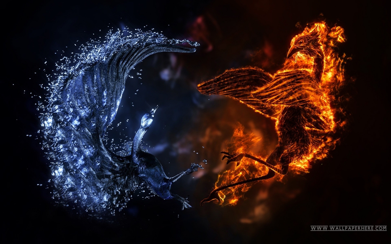 Fire And Water Elemental Birds Wallpaper Background