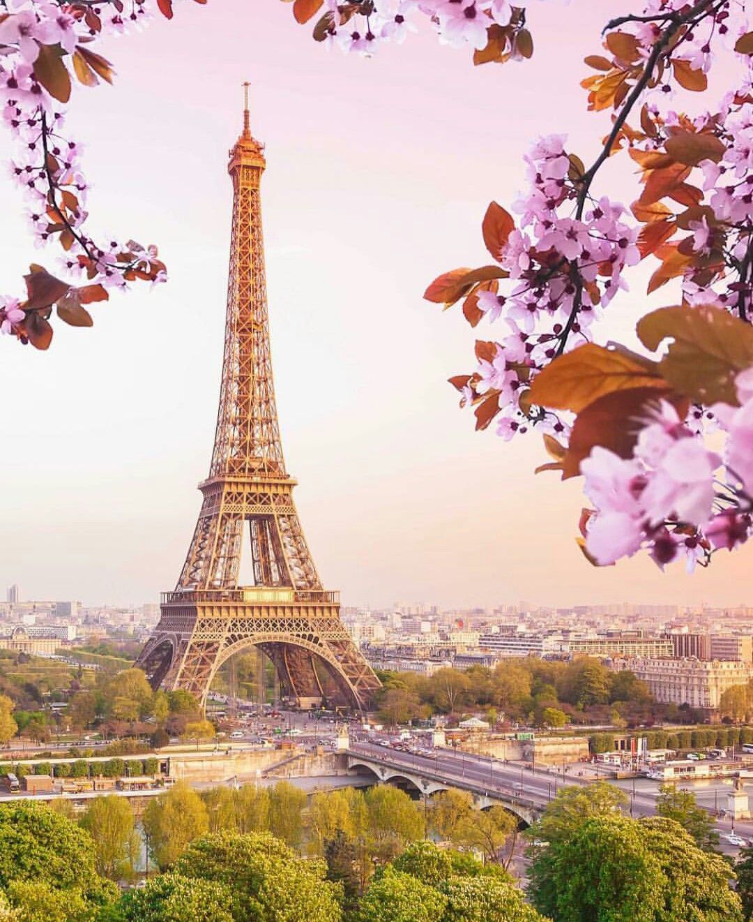 Eiffel Tower Paris All You Need To Know Before Go