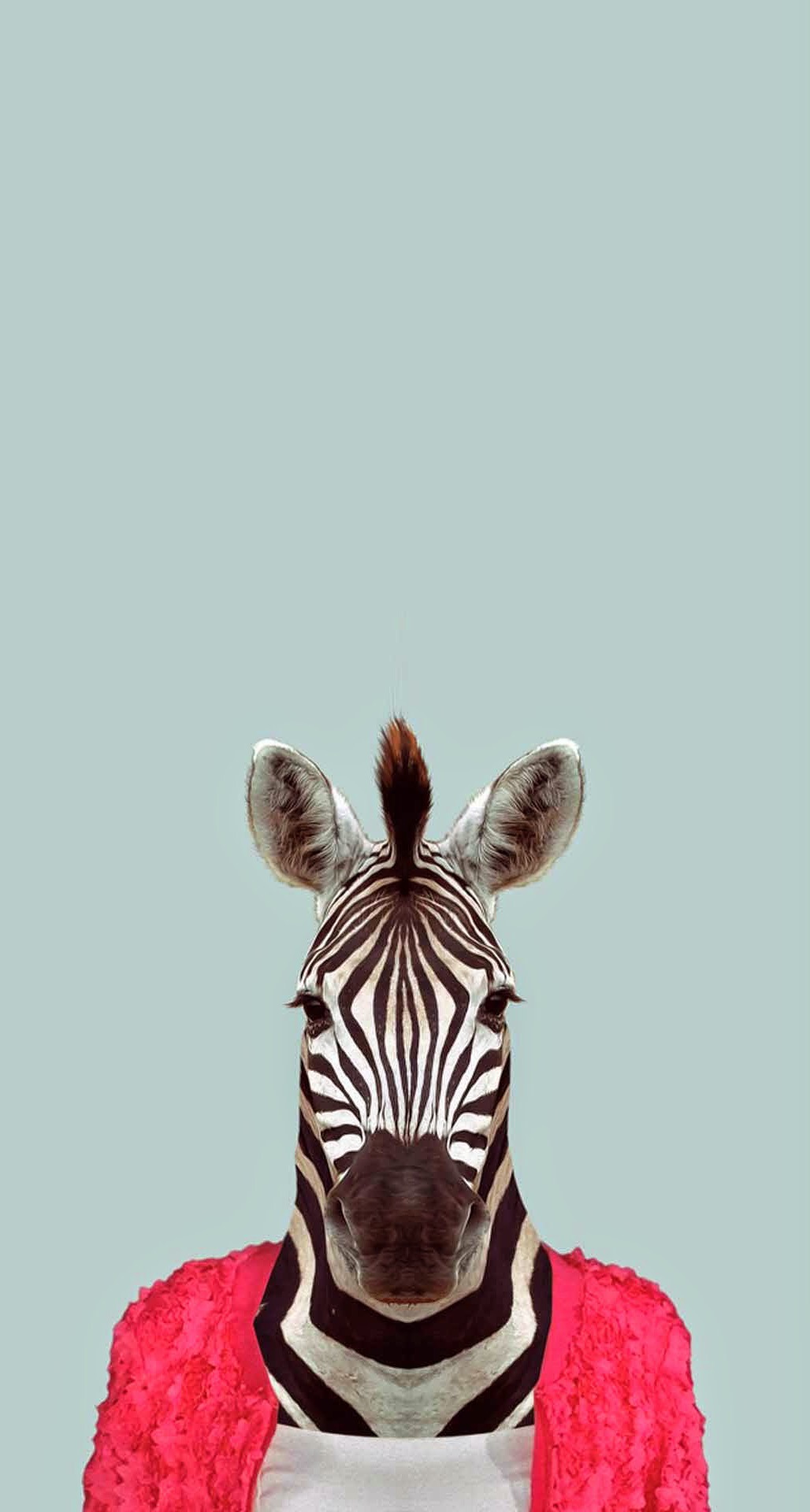 Animal iPhone Background Wallpaper