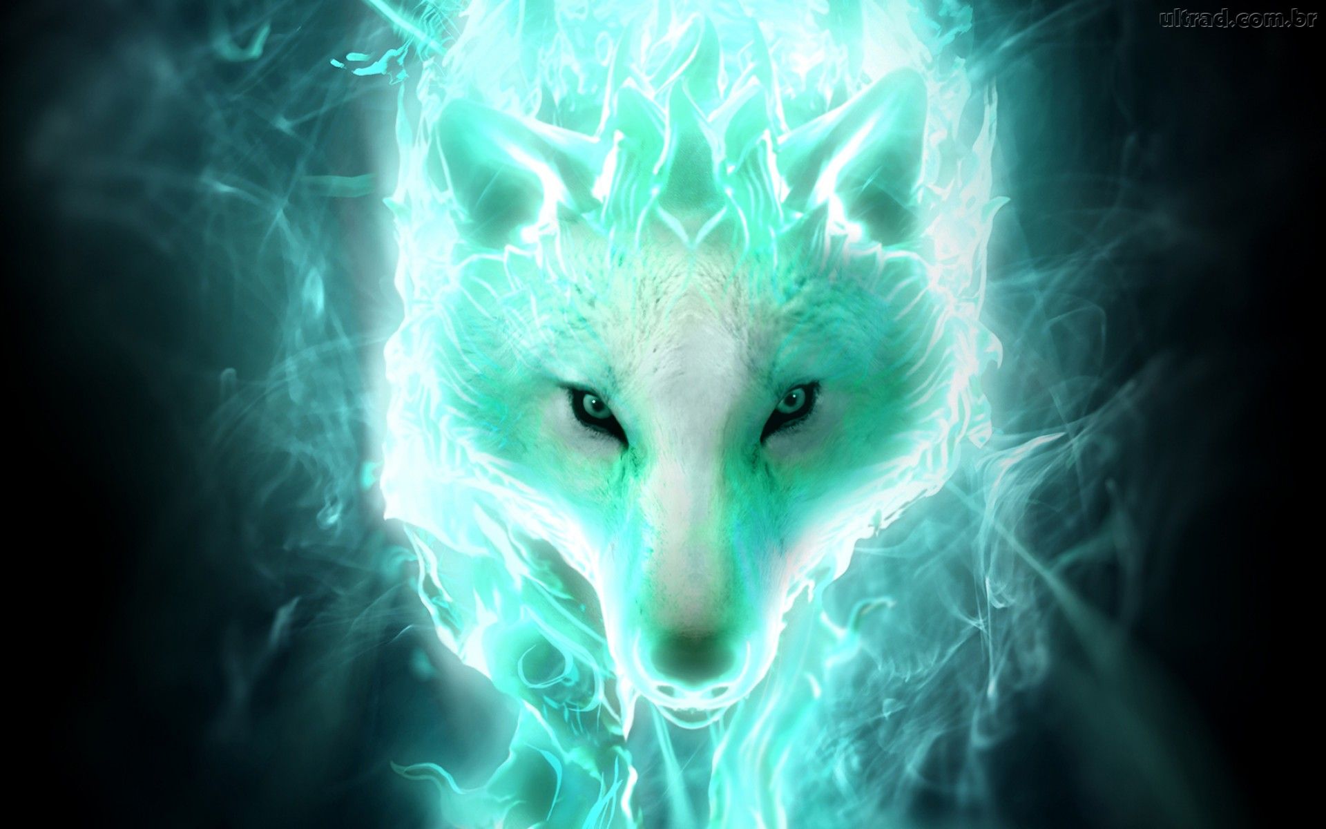 White Spirit Wolf Full HD Wallpaper And Background